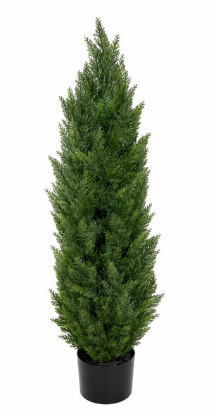 2589-26838.jpg