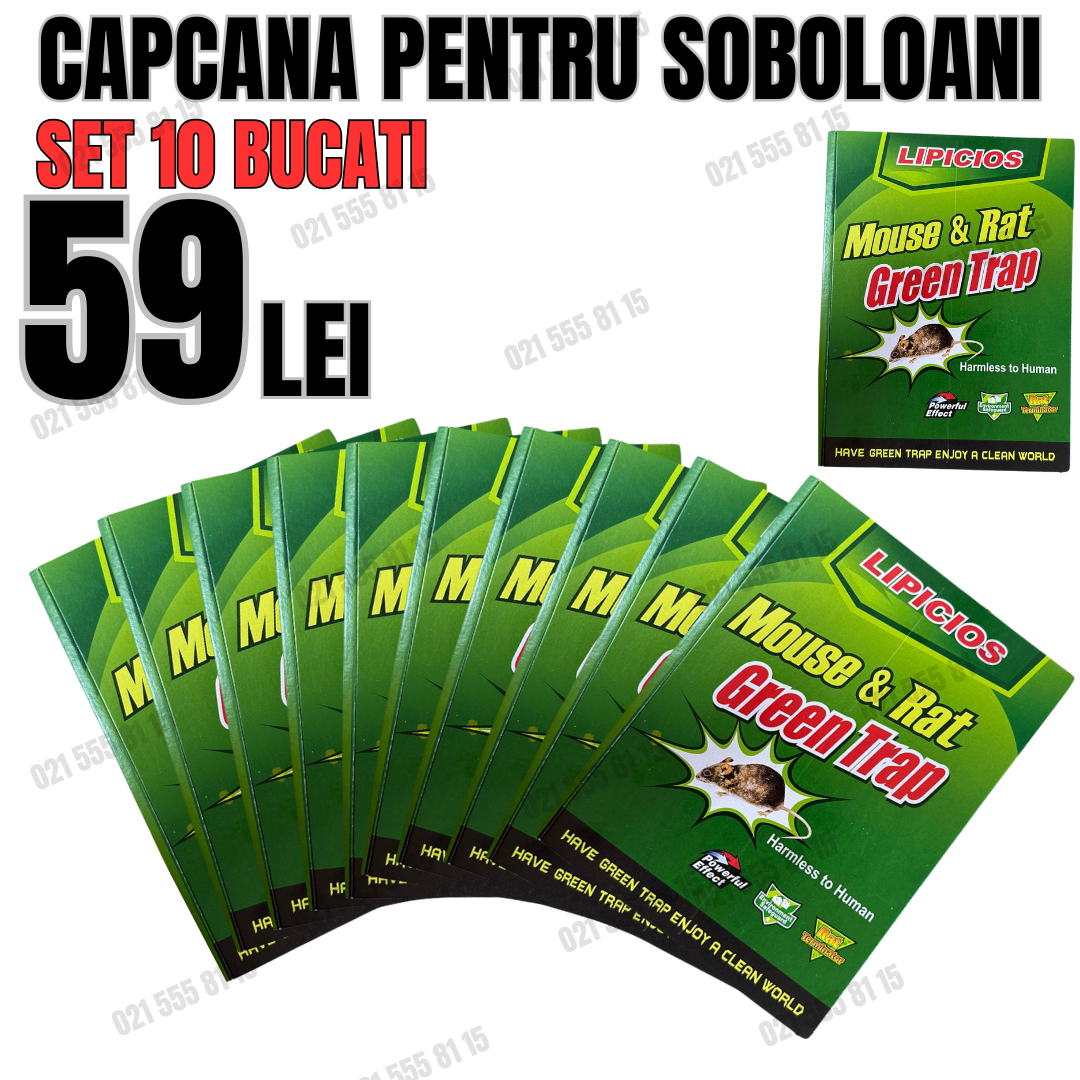 SET DE 10 BUCATI! Capcana pentru sobolani LIPICIOS